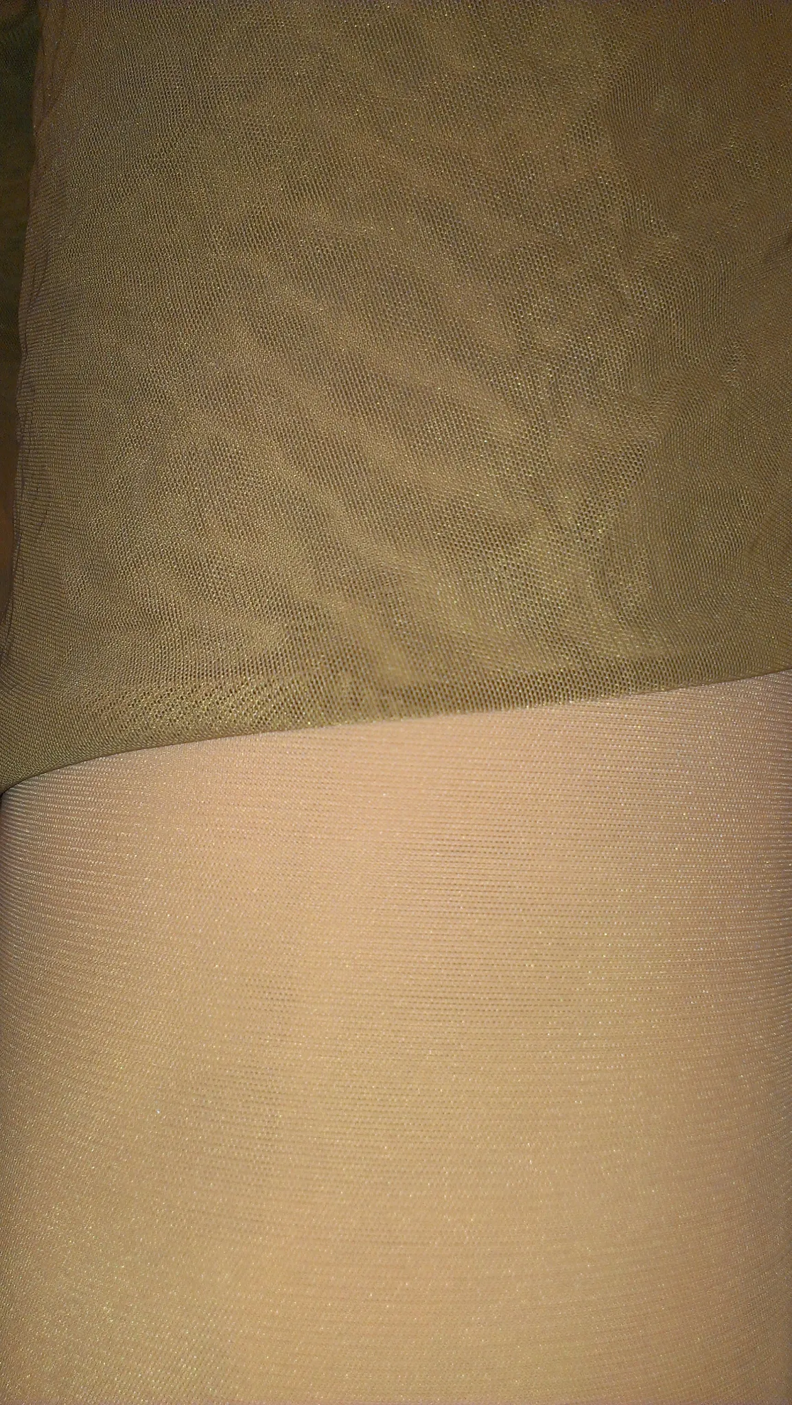 IMAG2596.webp IMAG2596.jpg