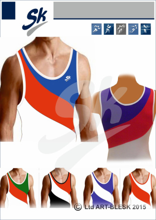 sk заготовка41