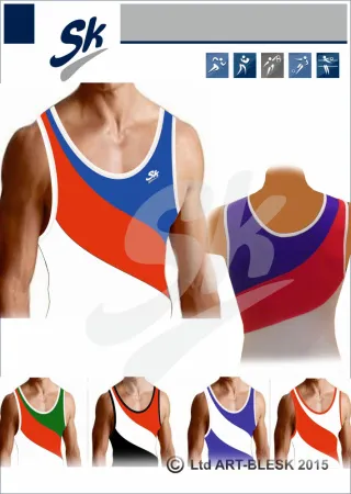 sk заготовка41