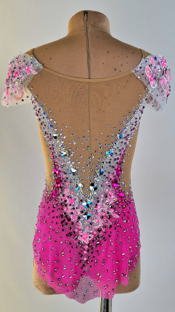 1000379806 1000379806