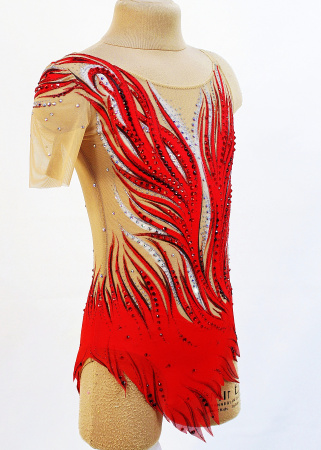 IMG_5383кк IMG_5383кк