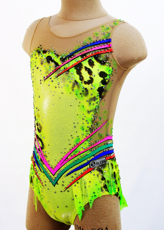 IMG_6604кк IMG_6604кк