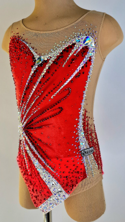 1000366211 1000366211